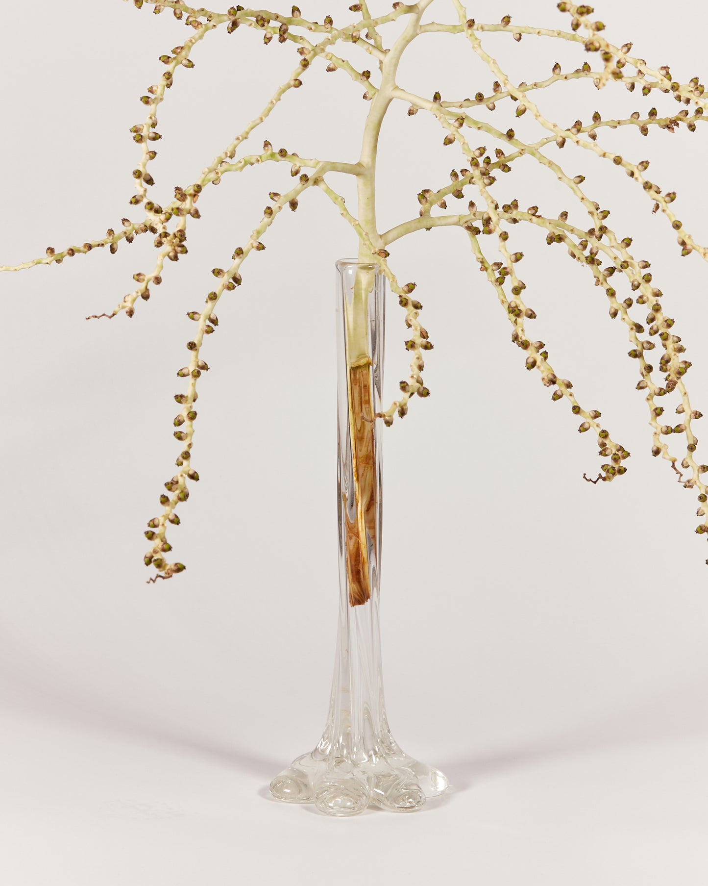 GLASS FLOWER VASE